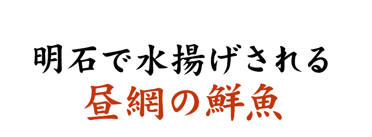 昼網の鮮魚